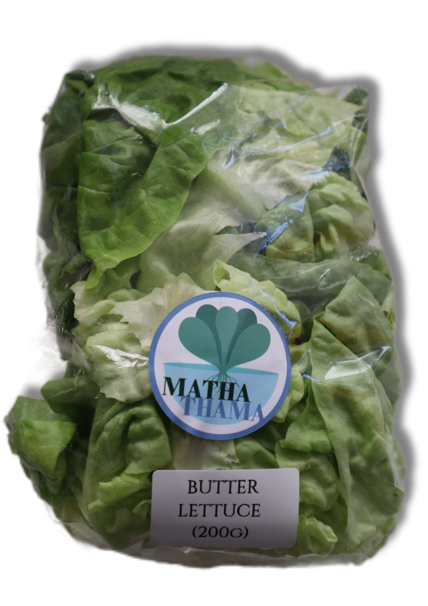 Fresh Butter lettuce