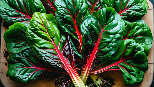 Fresh swiss chard